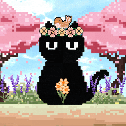 Aevisia: a cozy, magical black cat.